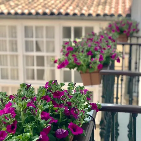 Casa Celsa-barbantes Konukevi 2*